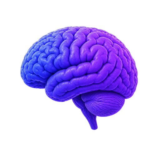 Human tester brain